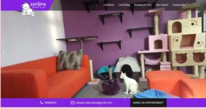 Catopia's Homepage