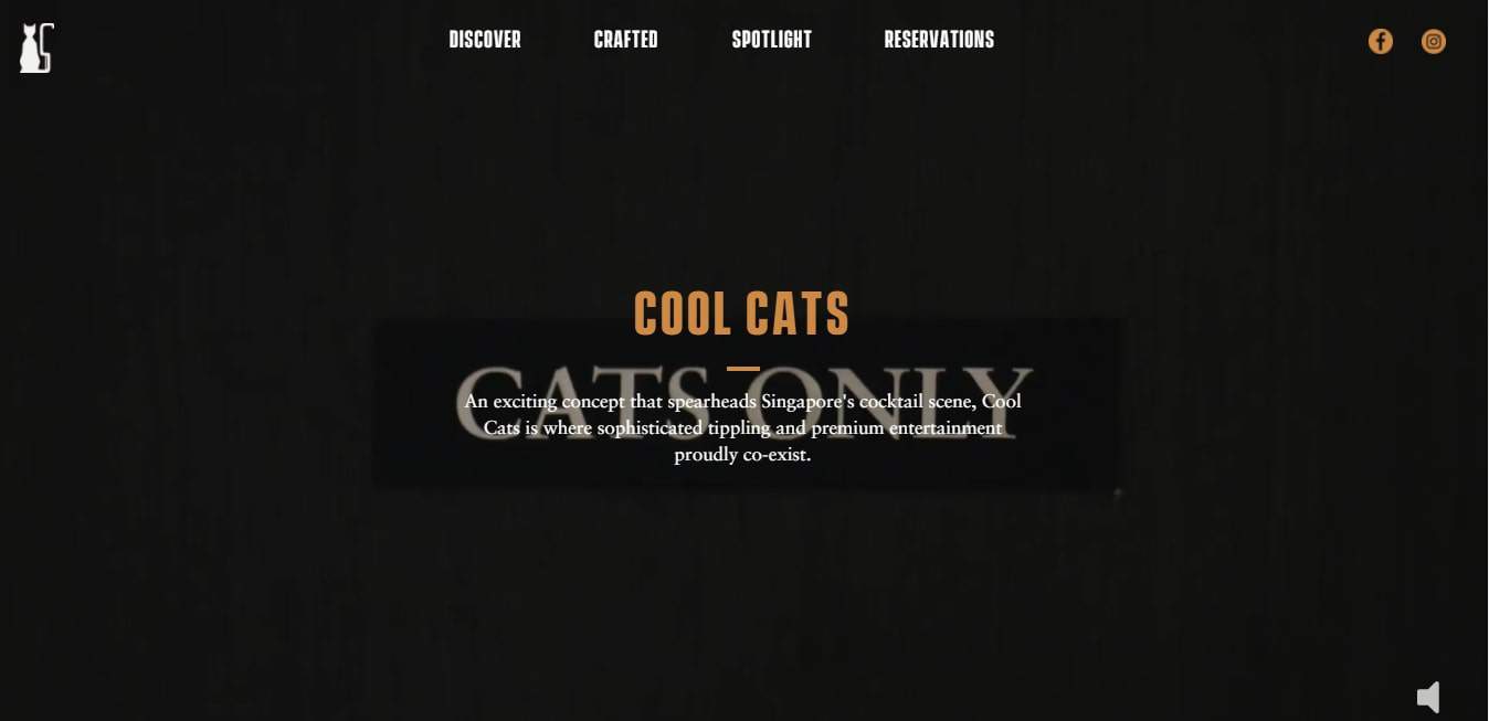 Cool Cats' Homepage