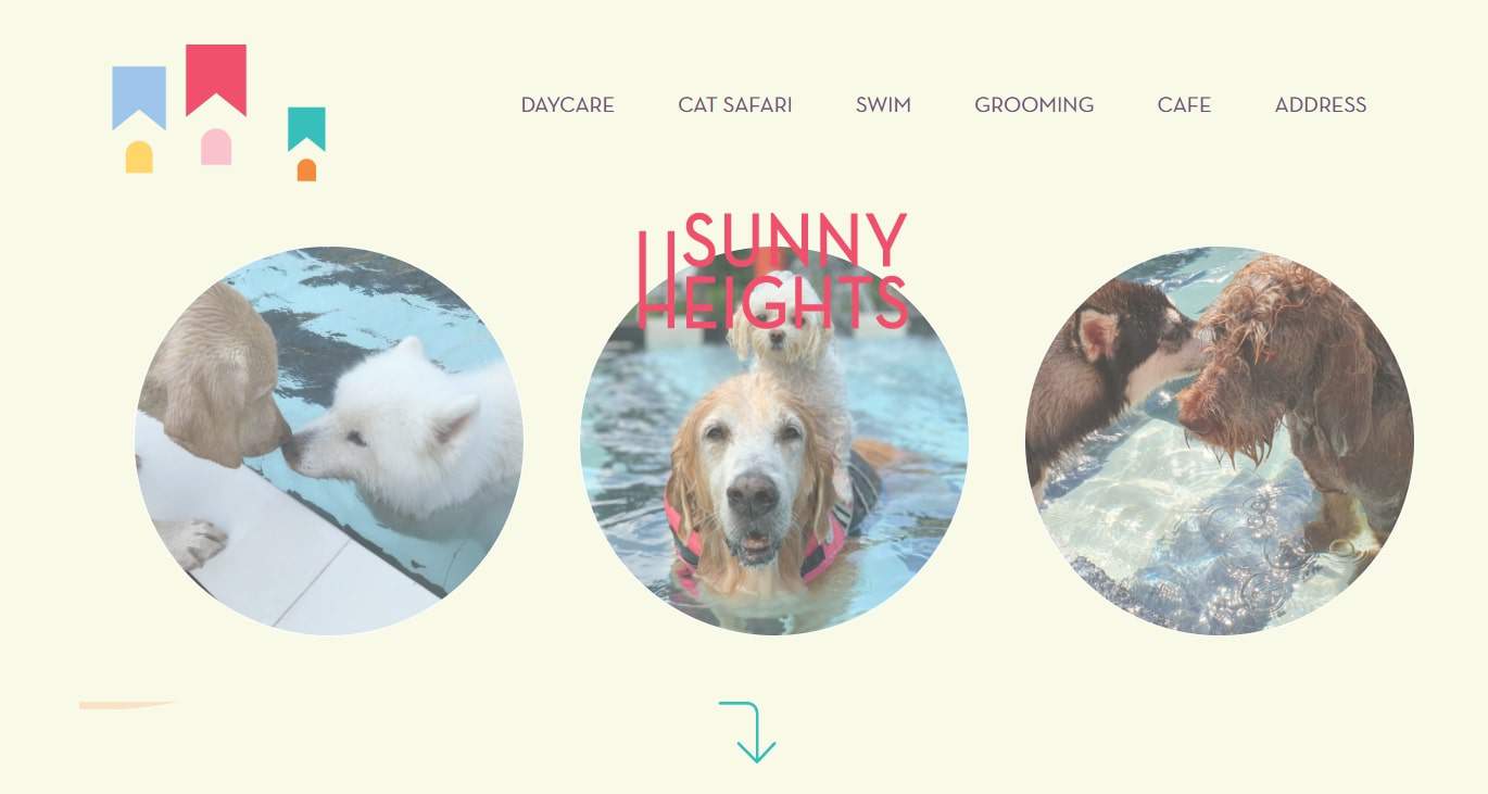 dog boarding for small dogs near me