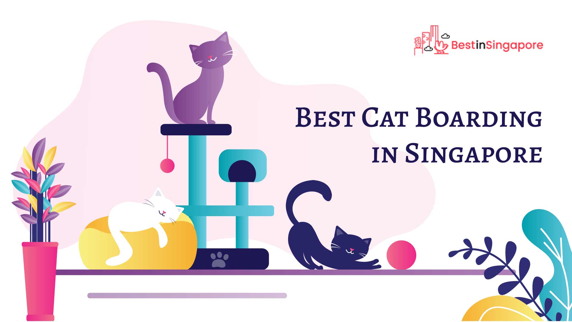 long term cat boarding singapore