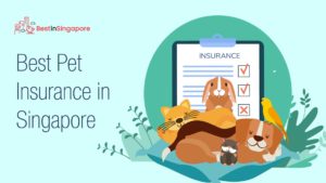 Best Pet Insurance in Singapore
