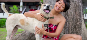 k9 Petcare Homepage