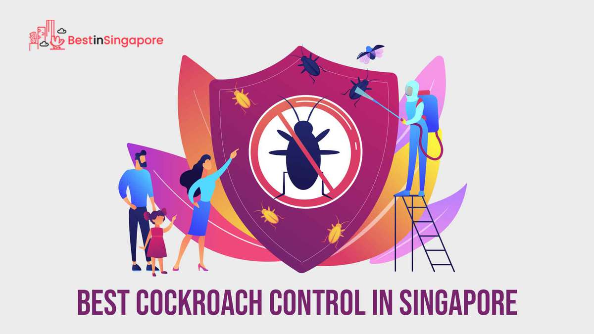 Best Cockroach Control in Singapore