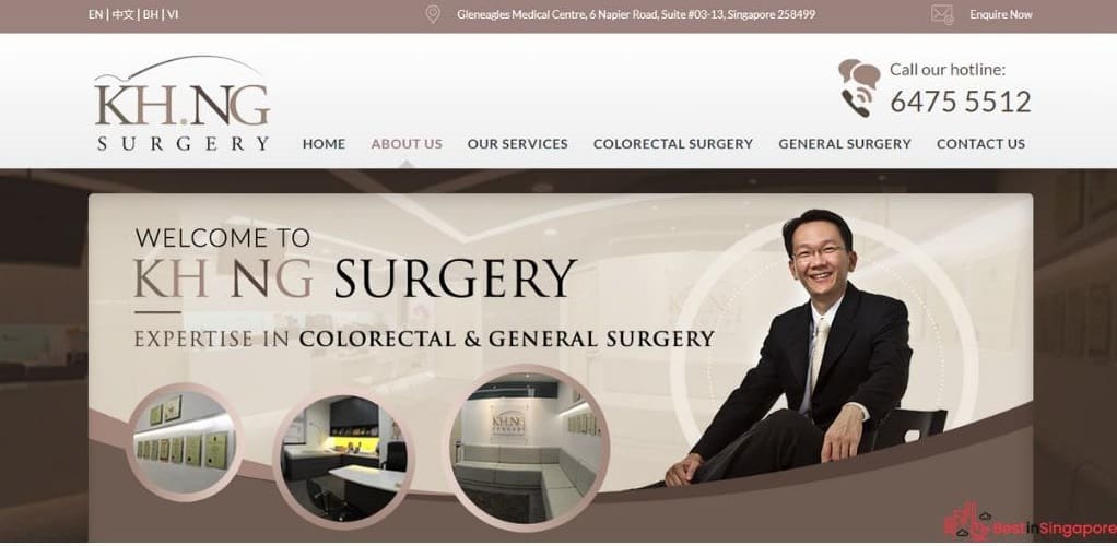 Dr. Ng Kheng Hong's Homepage