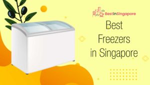 Best Upright Freezer in Singapore