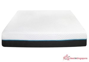Nuloft Latex and Memory Foam Mattress