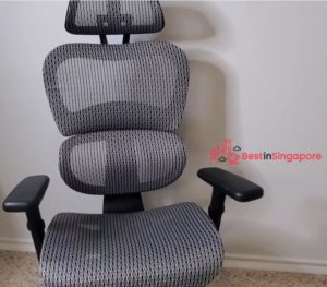 Sail Basic Ergonomic Chair_best office chairs unboxing_best in singapore