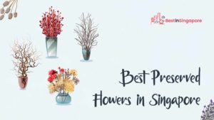 Best Preserved Flowers in Singapore