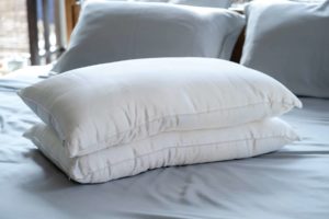 Weavve Home Silk Pillow
