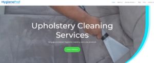 HygieneProf' Homepage