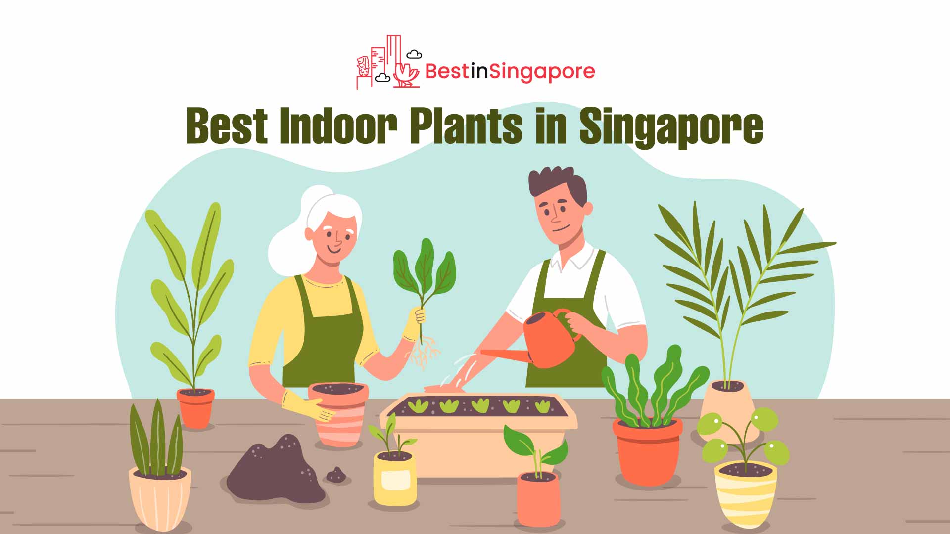 Best Houseplants in Singapore