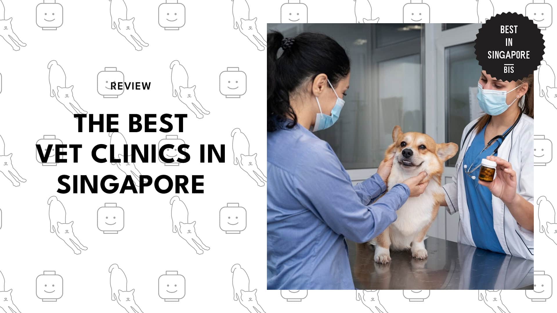 Best Vet Clinics