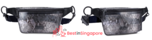 Aldo Sevasen Fanny Pack