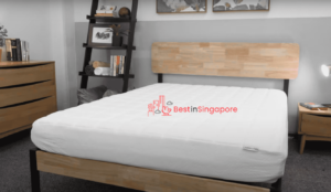 Simmons Mattress