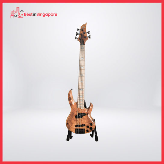 Davis Guitar – LTD RB-1005 5-Strings Bass Natural