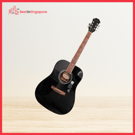 Epiphone DR-100 41