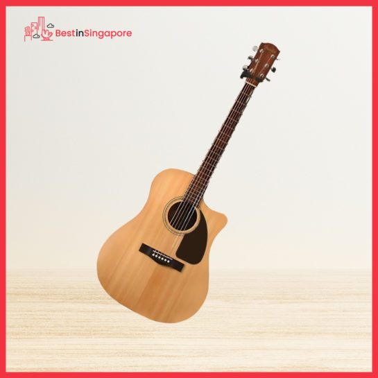 Epiphone DR-100 41