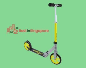 Fuzion City Glide_Kids Scooter_bestinsingapore