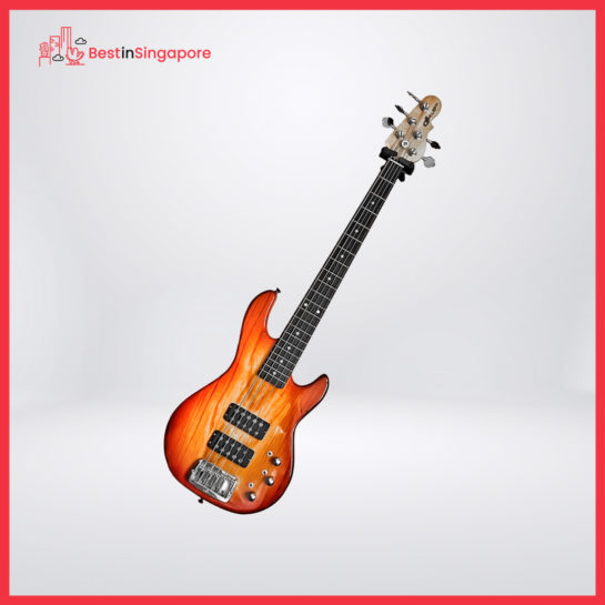 G&L L-2500