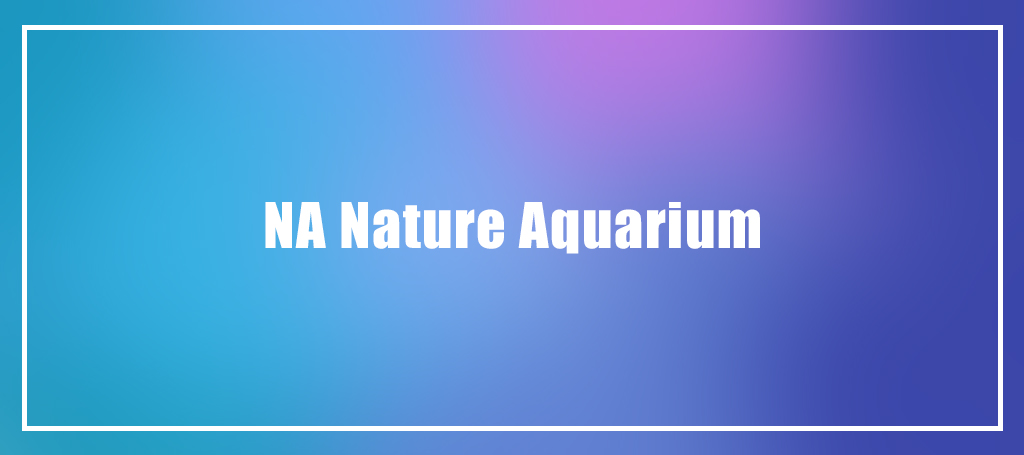NA Nature Aquarium