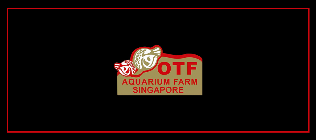 OTF Aquarium Farm