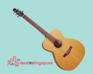 Seagull S6 Original_Acoustic Guitar_bestinsingapore