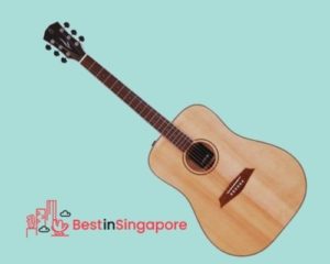 Sire R3 Solid Top Acoustic Guitar_Acoustic Guitar_bestinsingapore