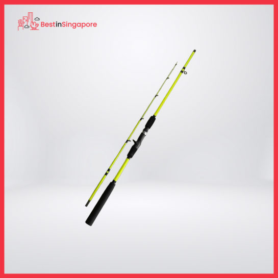 Tokushima Fishing Rod
