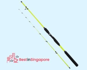 Tokushima Fishing Rod_Fishing Rod_bestinsingapore