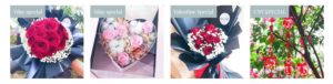 Blooms & Buds