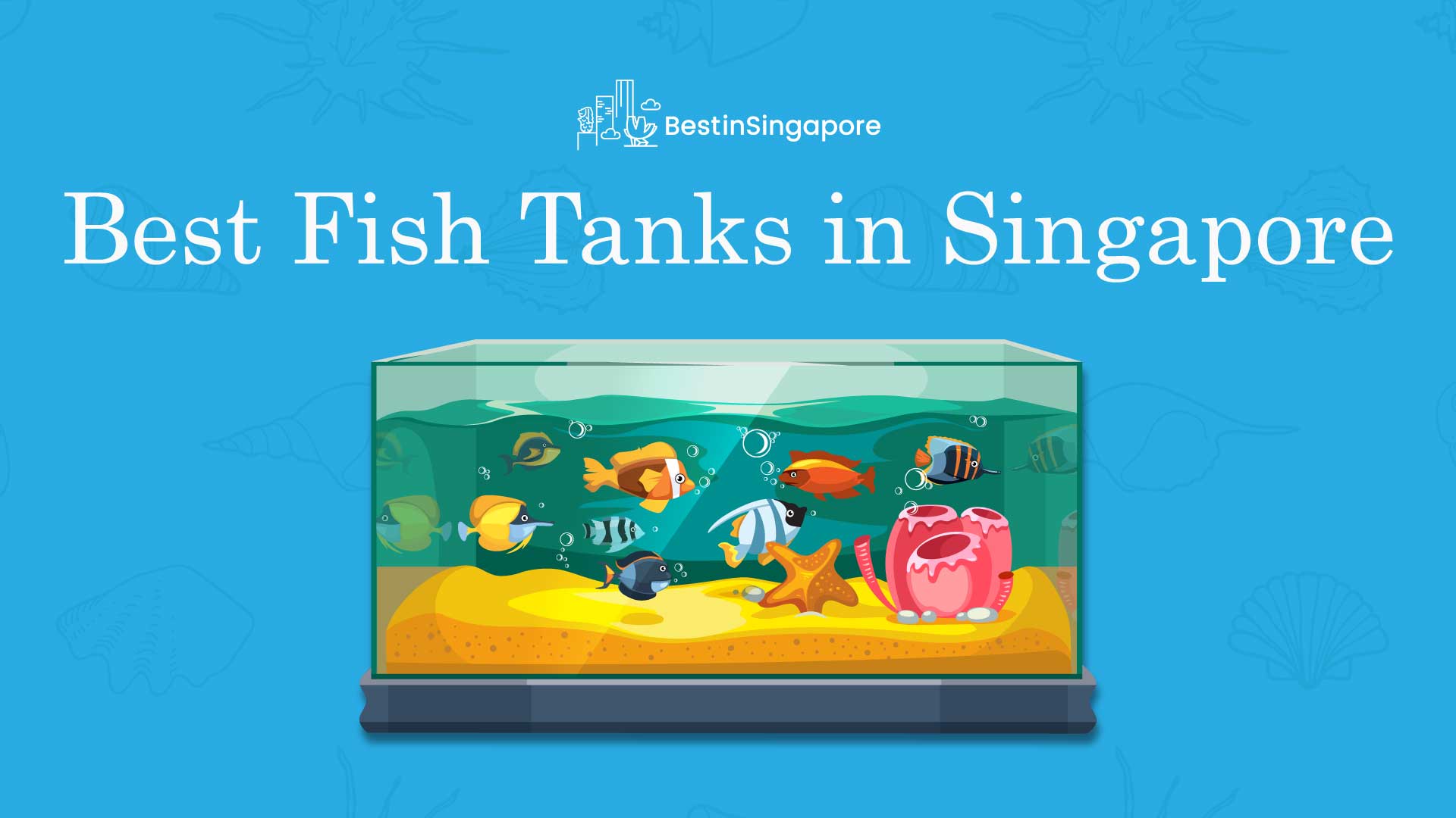 Best Fish Tanks Singapore