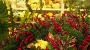 Vanda Win's Christmas Decoration