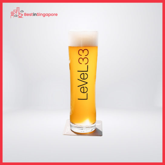 33.1 Blond Lager from LeVeL33