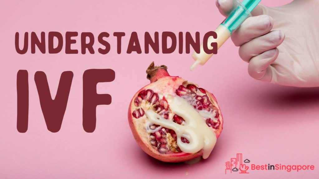 Chapter Five: Understanding IVF