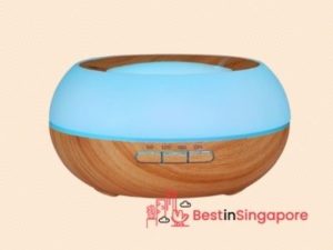 Aroma Diffuser (SH106)_Essential Oil Diffuser_bestinsingapore
