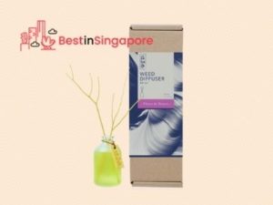 BsaB Diffuser_Essential Oil Diffuser_bestinsingapore