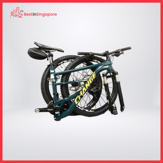DF-812G Mountain Folding Bike