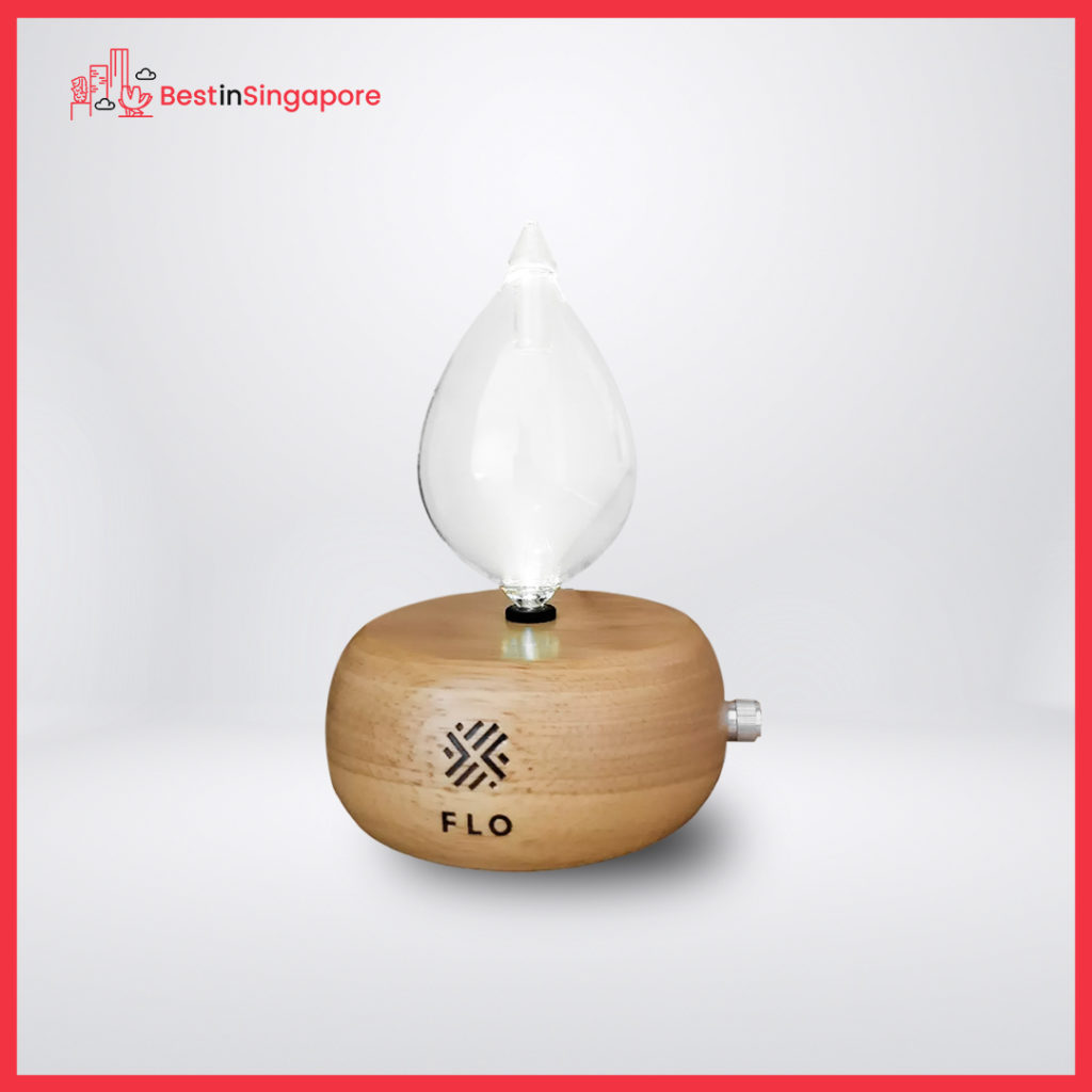 11 Best Essential Oil Diffusers in Singapore Reviewed [2025 ]