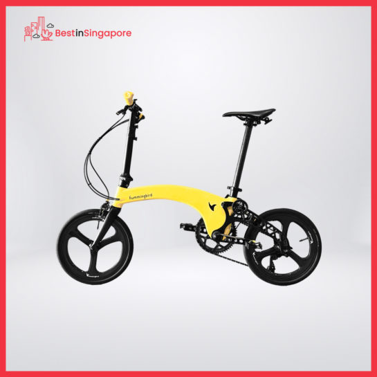 Hummingbird Electric Bike