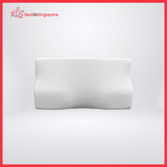 JOSEPH&CASEY Contour Memory Foam Pillow
