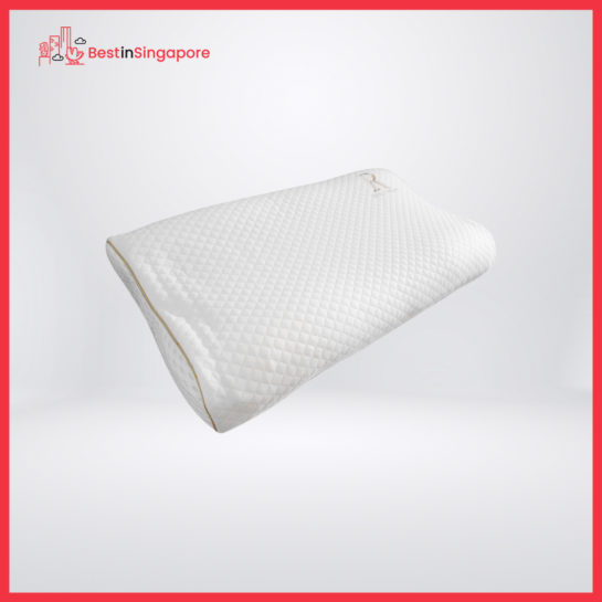 Royal Therapy Queen Memory Foam Pillow