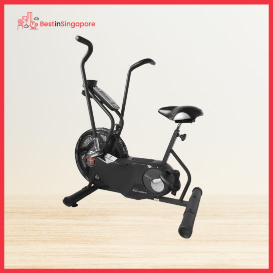 Schwinn Airdyne AD6i