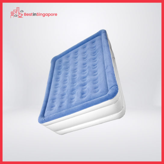 SoundAsleep Dream Series Air Mattress