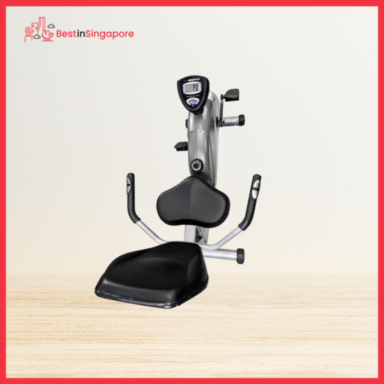 Stamina Recumbent Exercise Bike