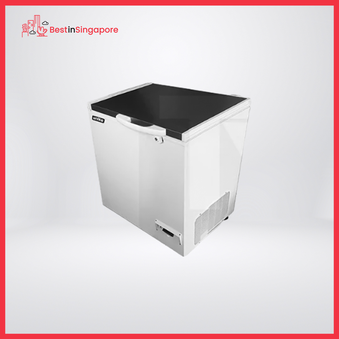 The 8 Best Chest Freezers in Singapore for Food Storage [2026 ]