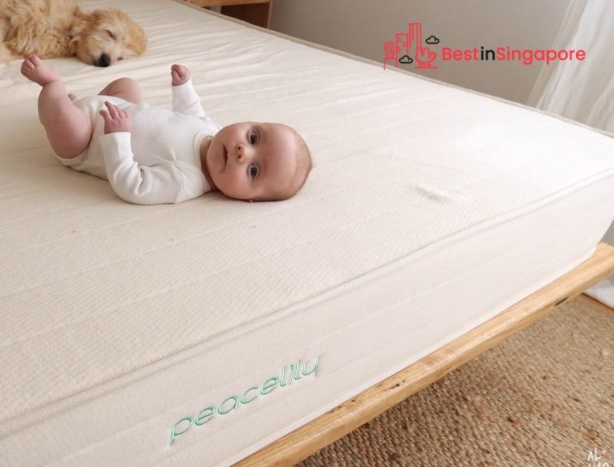 Peacelily Mattress Topper_2022_best in singapore
