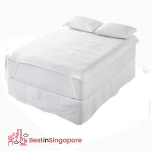 Nile Valley Mattress Topper_2022_best in singapore