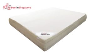 Sleepthetic Fitted Memory Foam Topper_2022_best in singapore