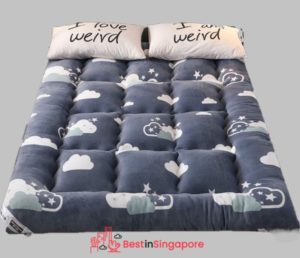 Tatami Mattress Topper_2022_best in singapore