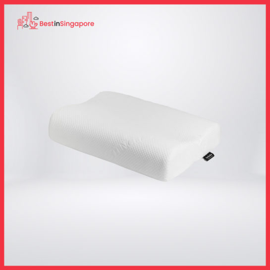 Zeezeezee Social Memory Foam Pillow
